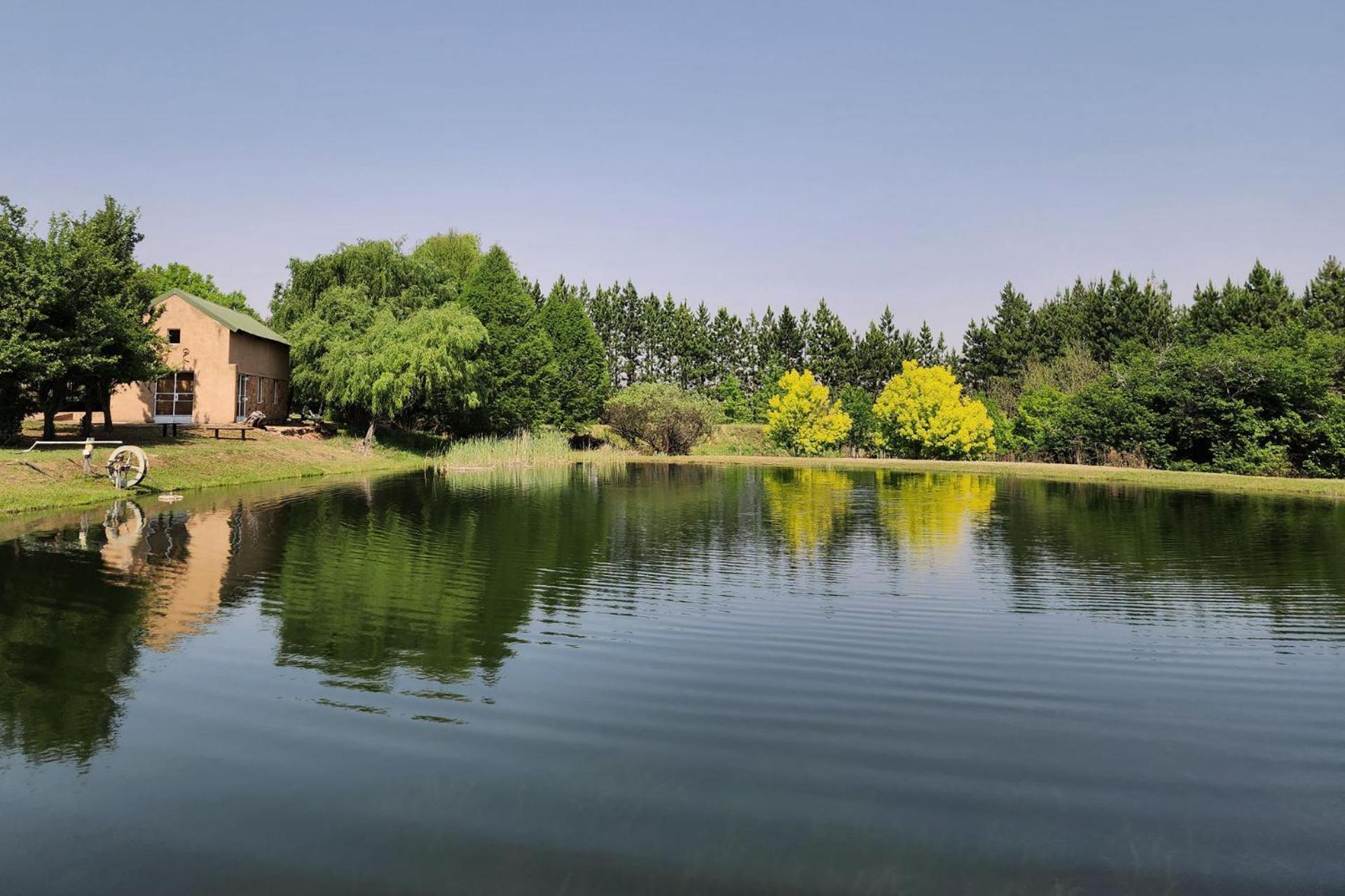 Schaefers' Halt Hotel Dullstroom Bagian luar foto