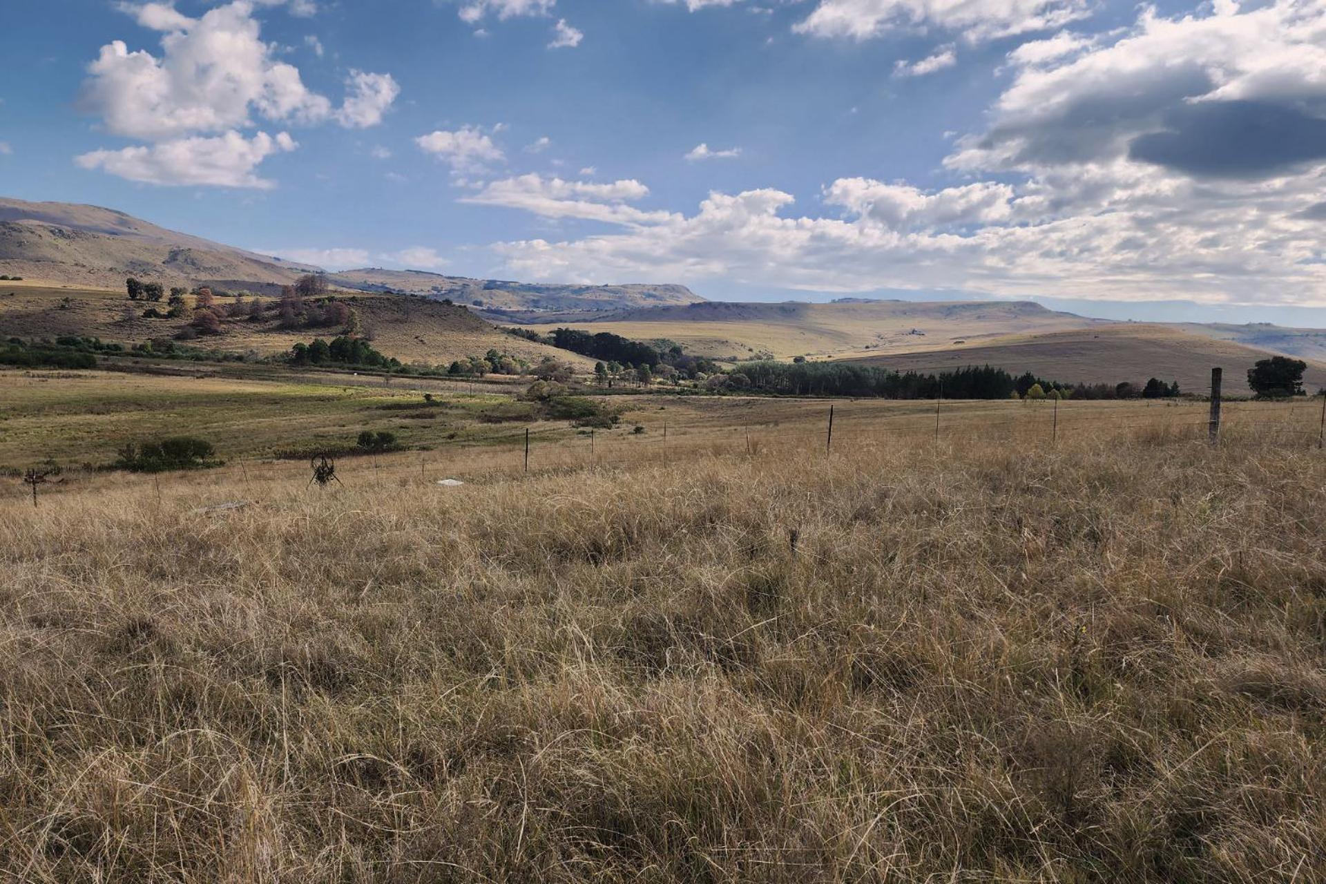 Schaefers' Halt Hotel Dullstroom Bagian luar foto
