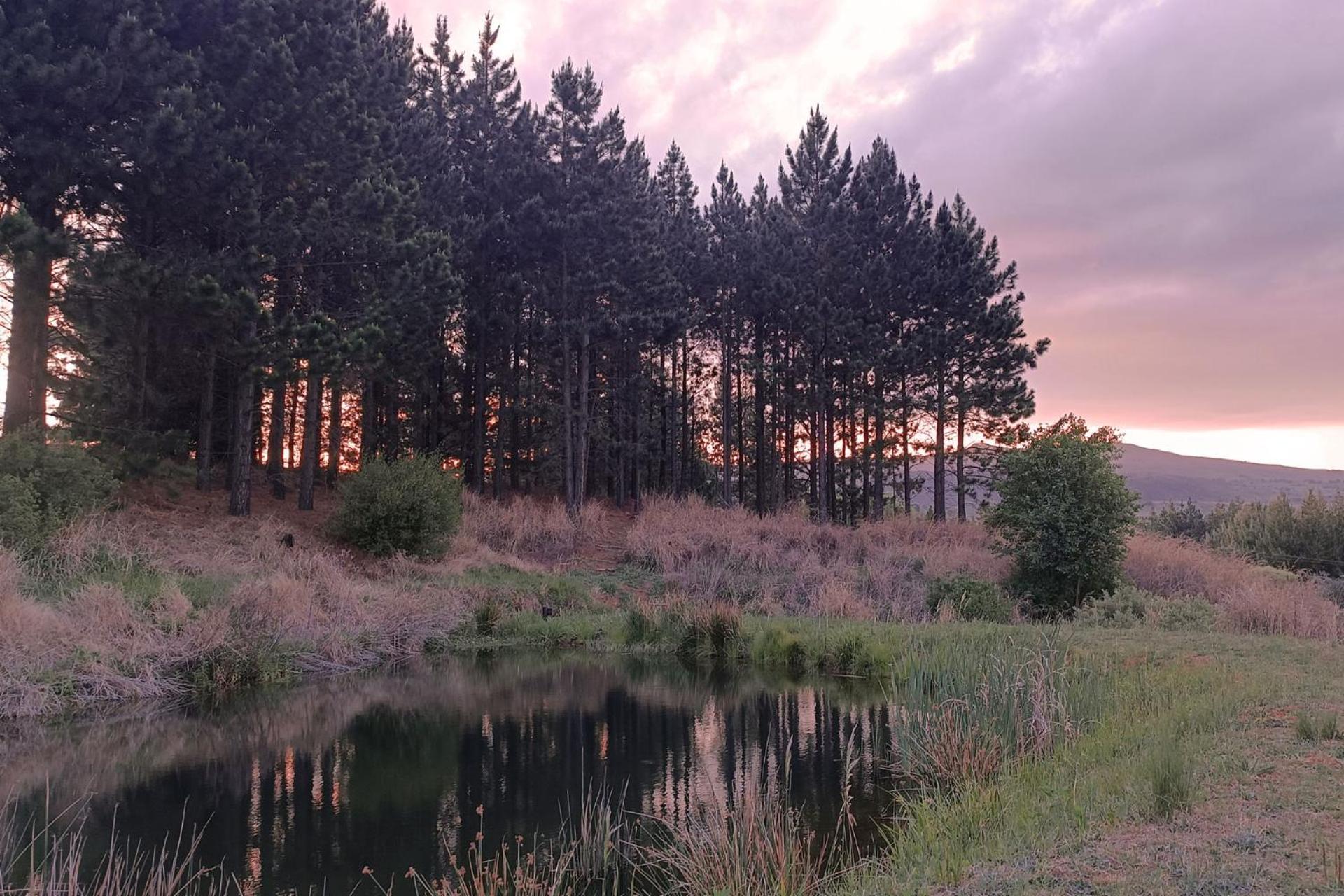 Schaefers' Halt Hotel Dullstroom Bagian luar foto