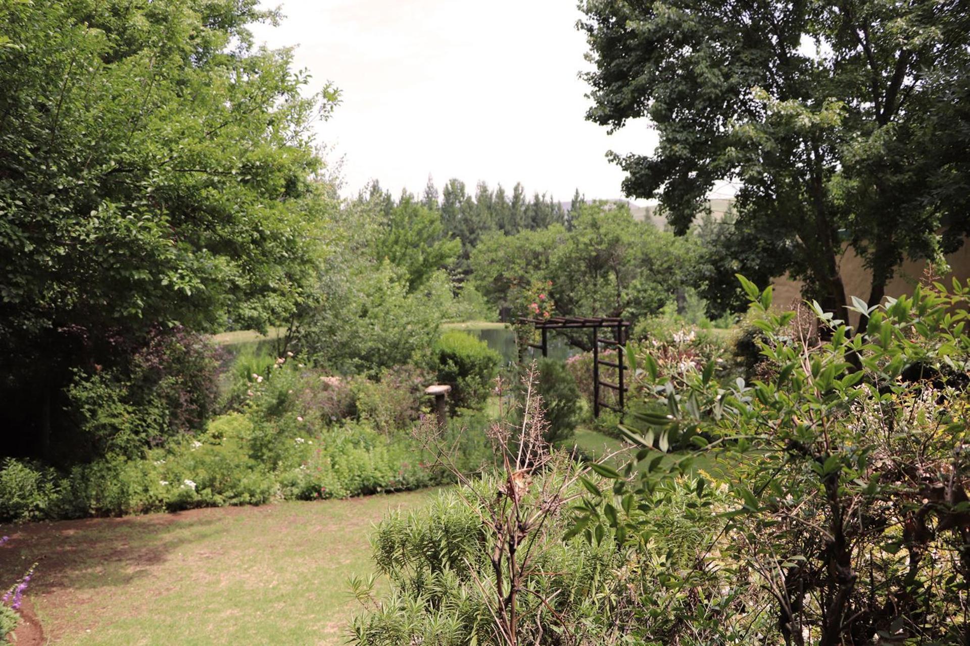 Schaefers' Halt Hotel Dullstroom Bagian luar foto