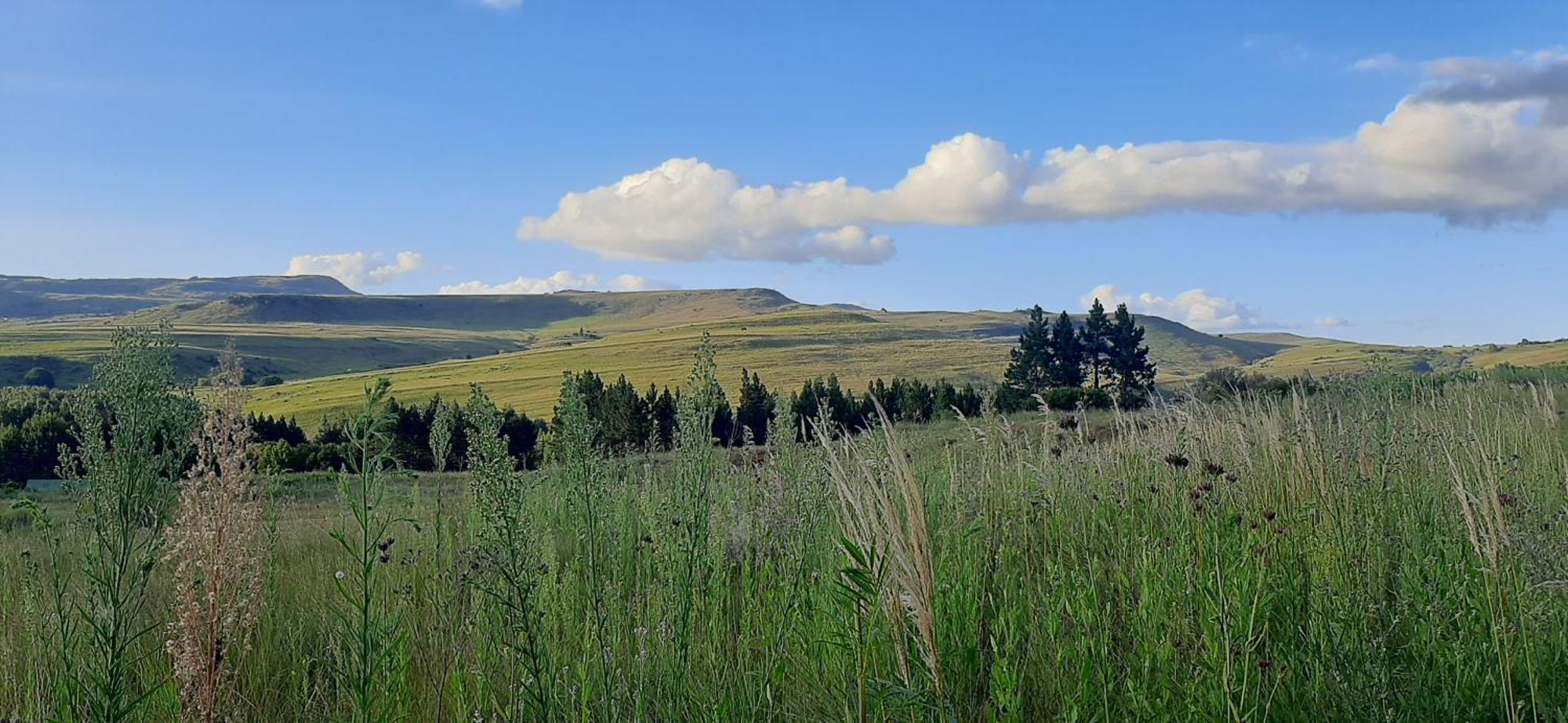 Schaefers' Halt Hotel Dullstroom Bagian luar foto