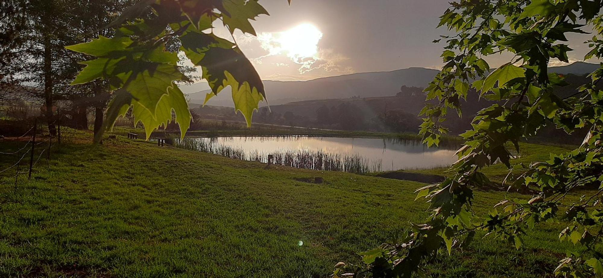 Schaefers' Halt Hotel Dullstroom Bagian luar foto