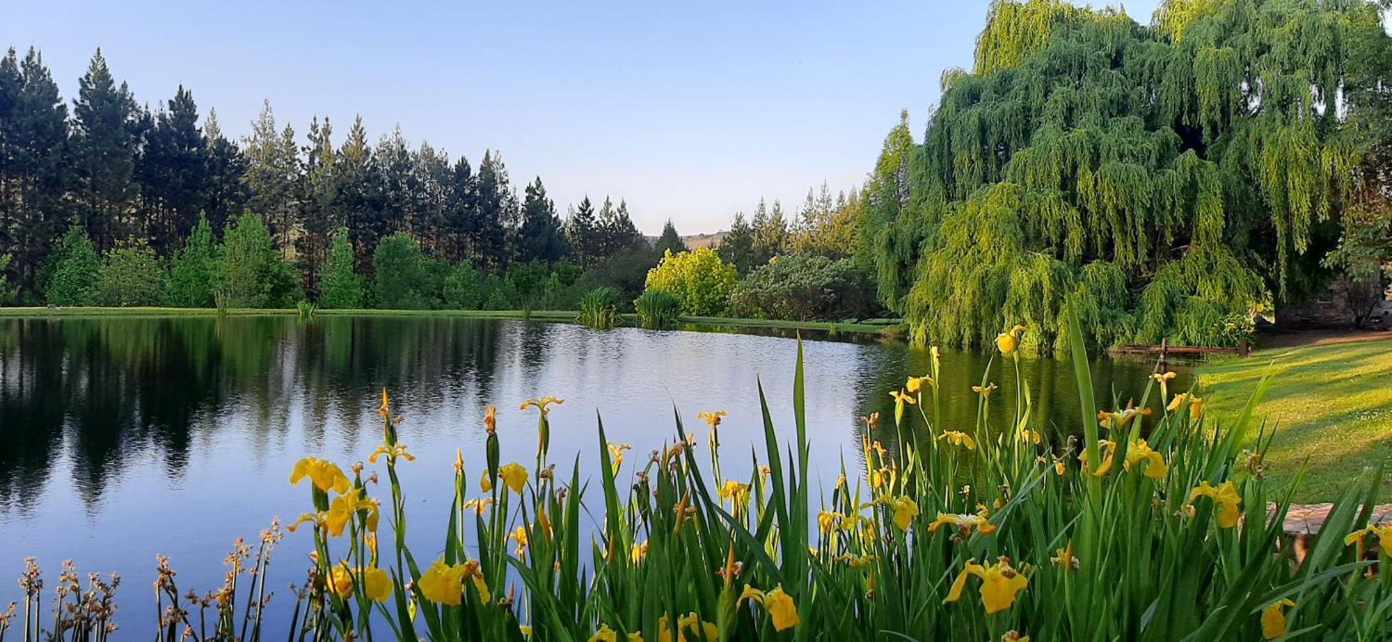 Schaefers' Halt Hotel Dullstroom Bagian luar foto