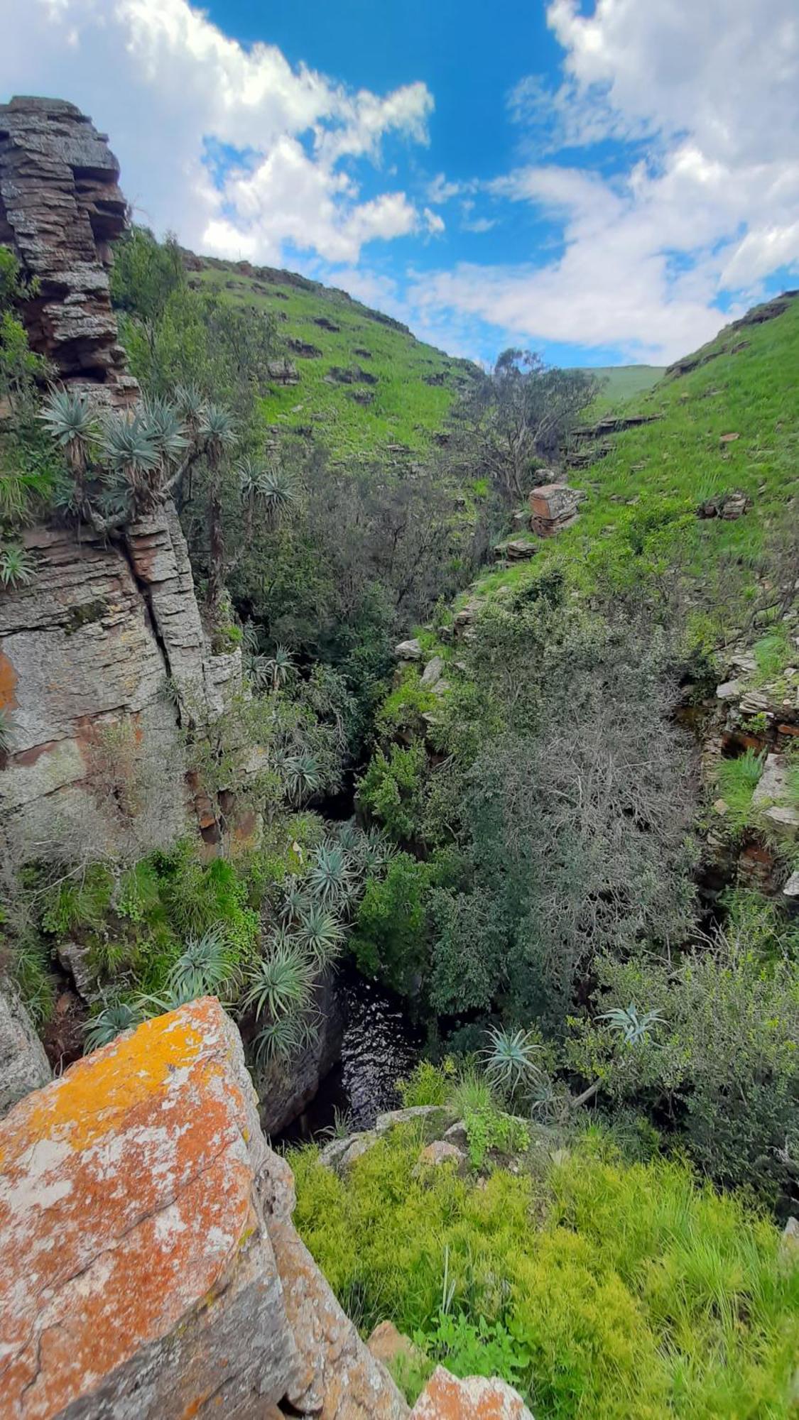 Schaefers' Halt Hotel Dullstroom Bagian luar foto