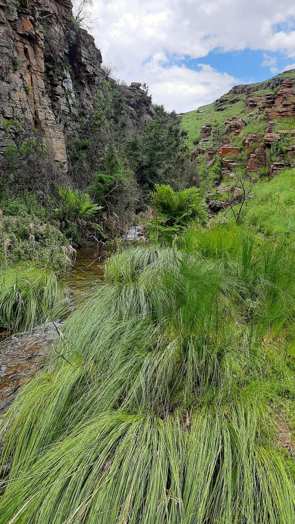 Schaefers' Halt Hotel Dullstroom Bagian luar foto